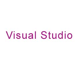  Visual Studio